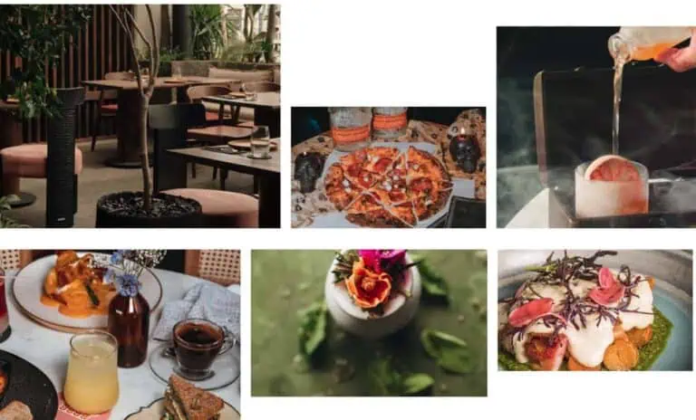 优雅餐厅的餐桌布置，绿植环绕，自然光线充足；提供手工披萨外卖；酒吧提供冰块鸡尾酒调制服务；早餐提供果汁和咖啡；花瓶里插着色彩缤纷的鲜花；美食拼盘配有酱汁和新鲜食材。