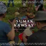 Sortie culturelle dans la communauté indigène Sumak Kawsay, une fête traditionnelle avec musique, offrandes et rituels ancestraux pour promouvoir le tourisme rural et le bien vivre dans la région.