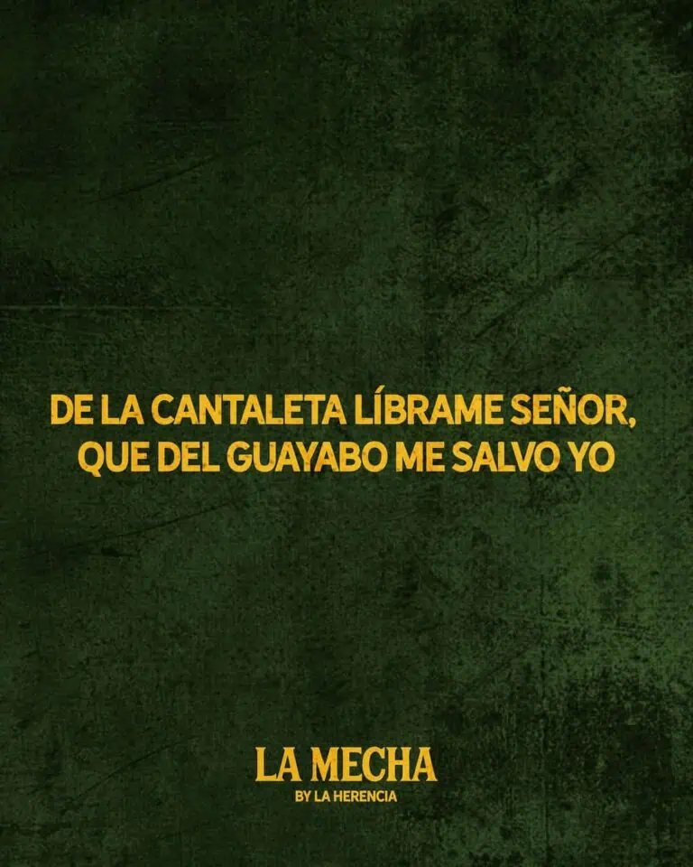 主啊，请让我摆脱唠叨，因为我可以自己摆脱宿醉。