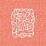 Brain tracing in white lines on an abstract brain structure background in pink and coral tones, a modern illustration for brain health events and technology.