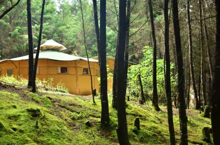Eine umweltfreundliche und gemütliche Jurte im Wald, ideal für Camping und naturnahe Veranstaltungen in Kolumbien.
