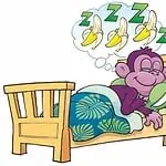 一幅充满童趣和趣味的画作，描绘了一只猴子睡在床上，周围环绕着梦幻般的香蕉和代表“梦”的字母“Z”。