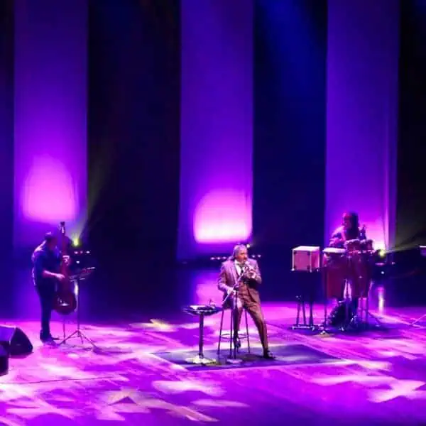 音乐会现场音响效果出色，紫色灯光和专业舞台营造出极致的现场音乐体验。