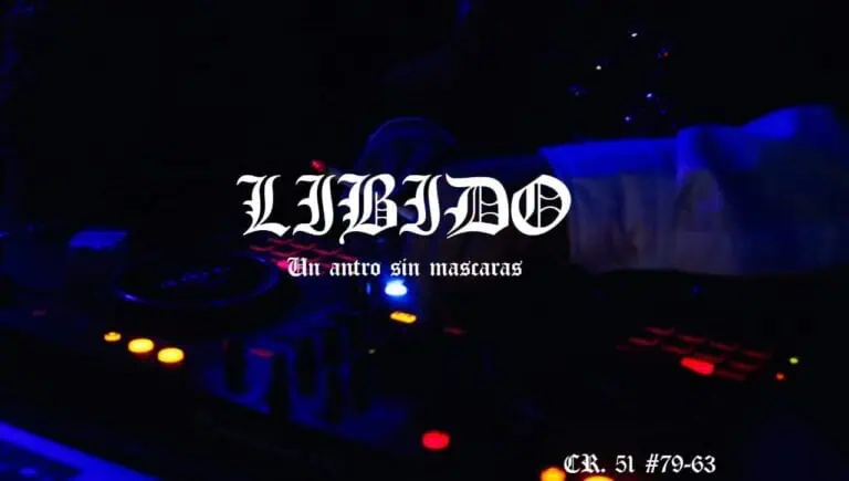 DJ on the dance floor with blue and red lights, live music in a dark environment, set for parties and nighttime events.