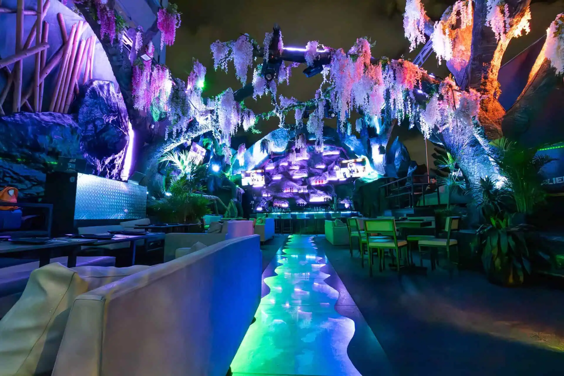 Light show and tropical decor at an evening party in a vibrant, natural setting. Ideal for events and celebrations with a unique and modern atmosphere.