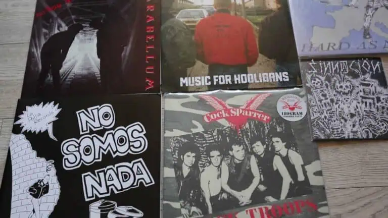 Disques vinyles et albums de musique de groupes alternatifs et rock, avec des designs créatifs et artistiques pour les collectionneurs et les amateurs de musique indépendante.