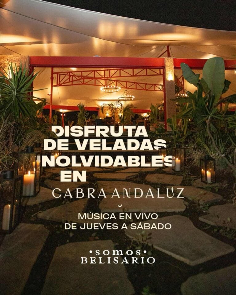 Disfruta de veladas inolvidables en Cabra Andaluz con música en vivo, ambiente acogedor y decoración encantadora en medio de la naturaleza en Belisario.