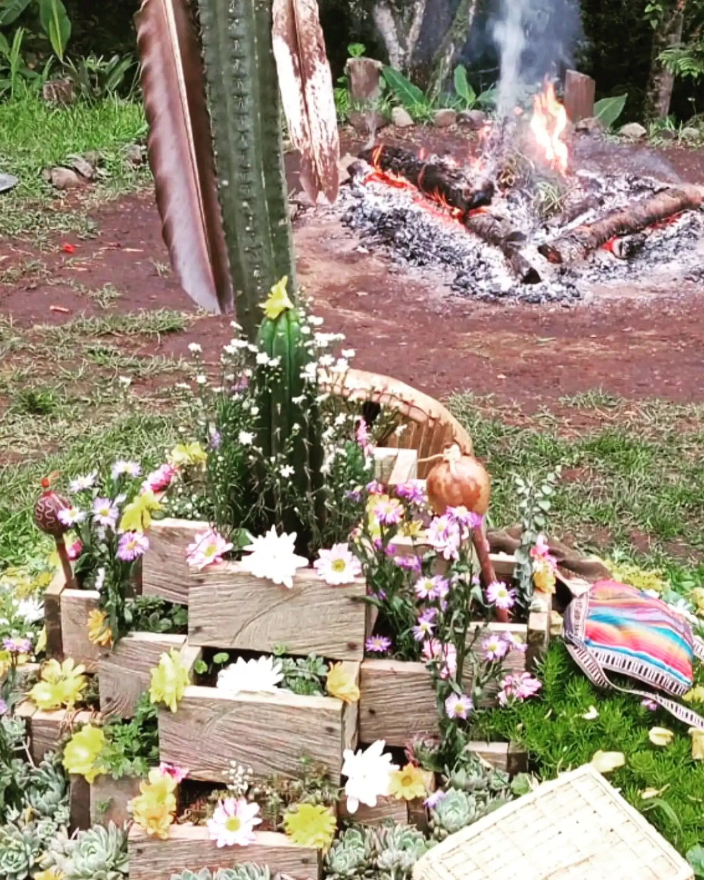 Florero con flores de colores y cactus en un entorno natural para eventos al aire libre.