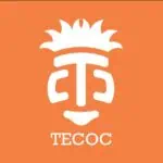 TECOC标志设计，橙色背景上为白色风格化的人脸。