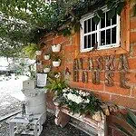 女孩，活动装饰，乡村氛围，户外装饰，家中花卉细节，户外活动装饰，乡村与精致氛围，婚礼和庆典创意，传统场所的活动，复古与自然风格。