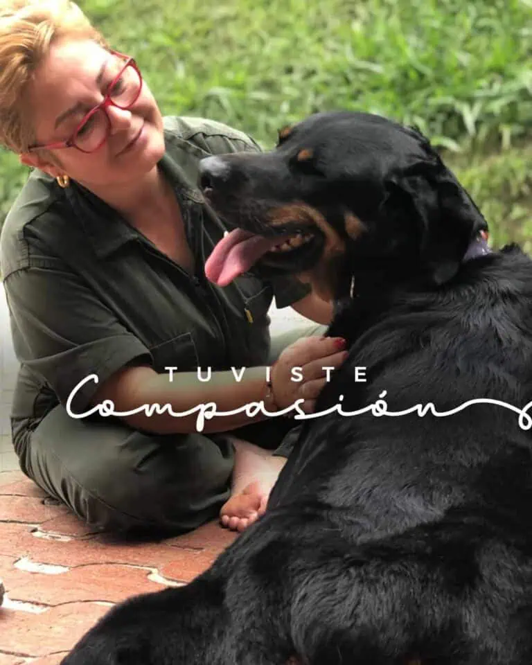 一只杜宾犬躺在公园里，身边是一位女士，展现了宠物与主人之间深厚的爱与亲密。这张照片传递出户外​​活动中的亲近、信任和快乐。非常适合用于动物福利内容和犬类相关活动。