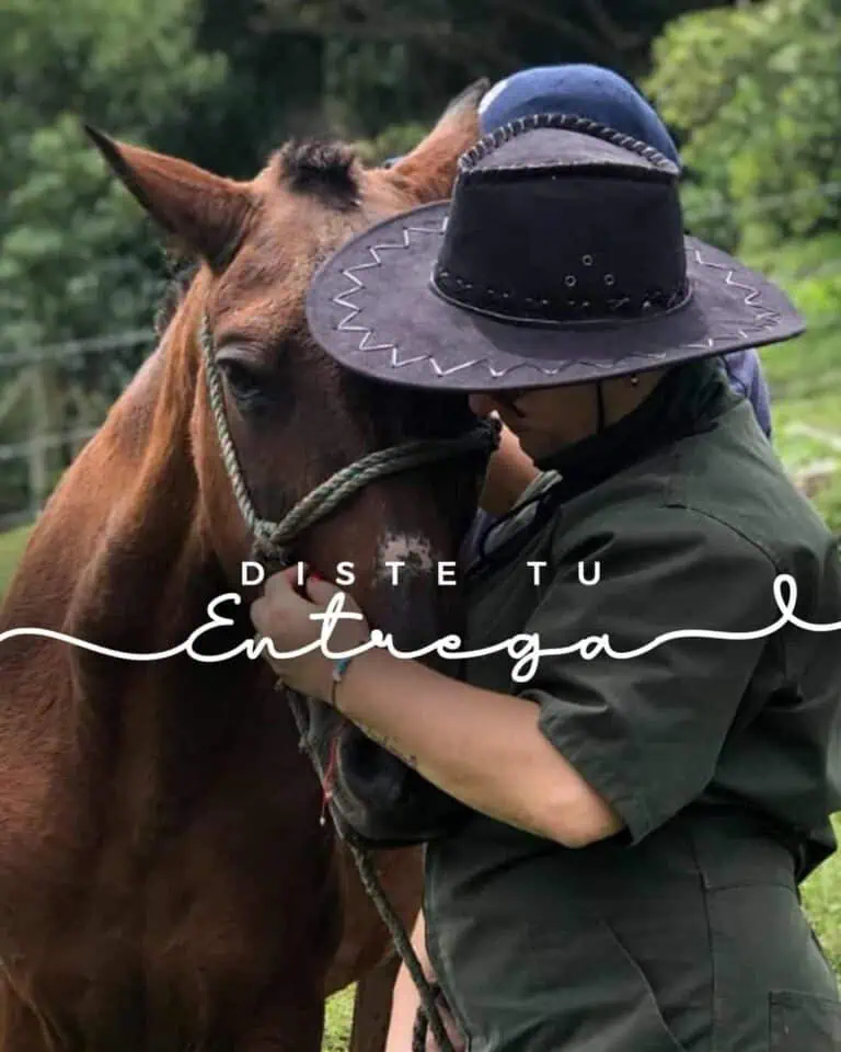 Un cheval brun, coiffé d'une casquette noire, se caresse dans un champ verdoyant. Cette expérience équestre se déroule dans la région de Cundinamarca, en Colombie. Il s'agit d'un événement d'agriculture et de tourisme rural, au contact des animaux de la ferme.