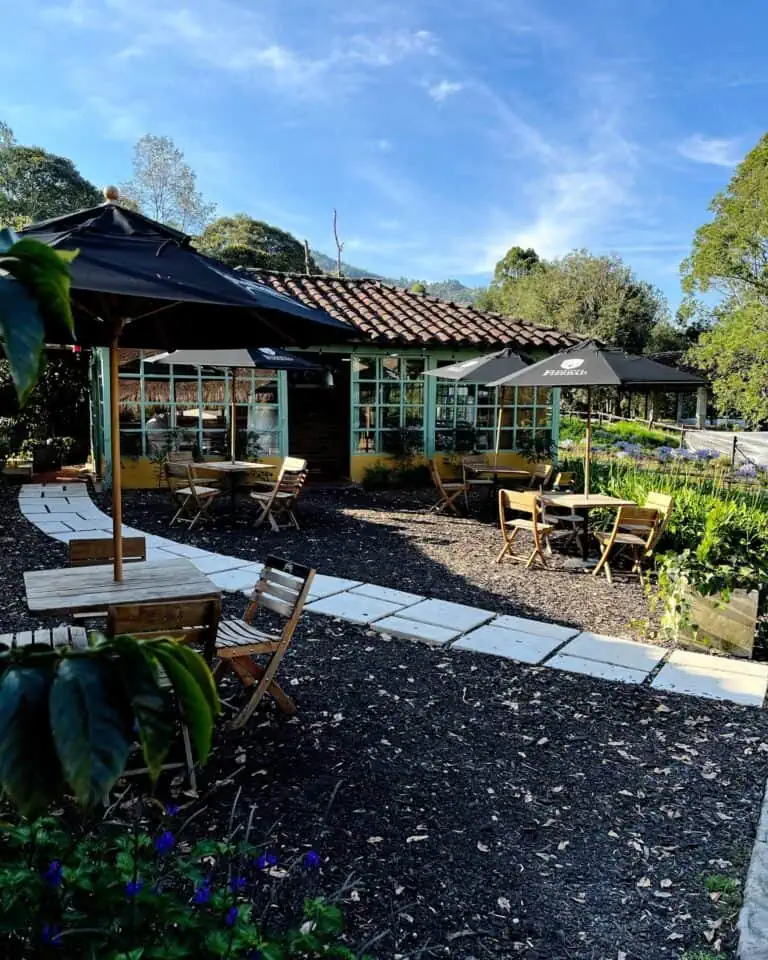 户外花园设有桌椅和遮阳伞，环境自然宁静，适合举办活动和会议。