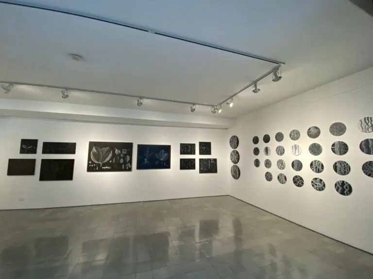 Images d'une exposition d'art dans un musée, montrant des œuvres sur le mur avec un éclairage spécialisé, mettant en valeur les détails botaniques et les formes géométriques dans un environnement moderne et bien éclairé.