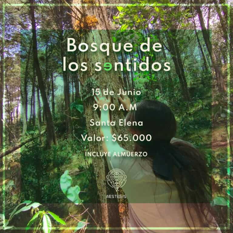 Bosque de los sentidos, evento sensorial en Santa Elena, exploración en la naturaleza, experiencia al aire libre, conexión con la naturaleza, aventura ecológica, actividades en el bosque, bienestar y mindfulness, naturaleza y meditación.