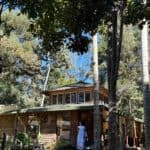 Casa ecológica en medio de la selva tropical con árboles altos y naturaleza exuberante en Co.