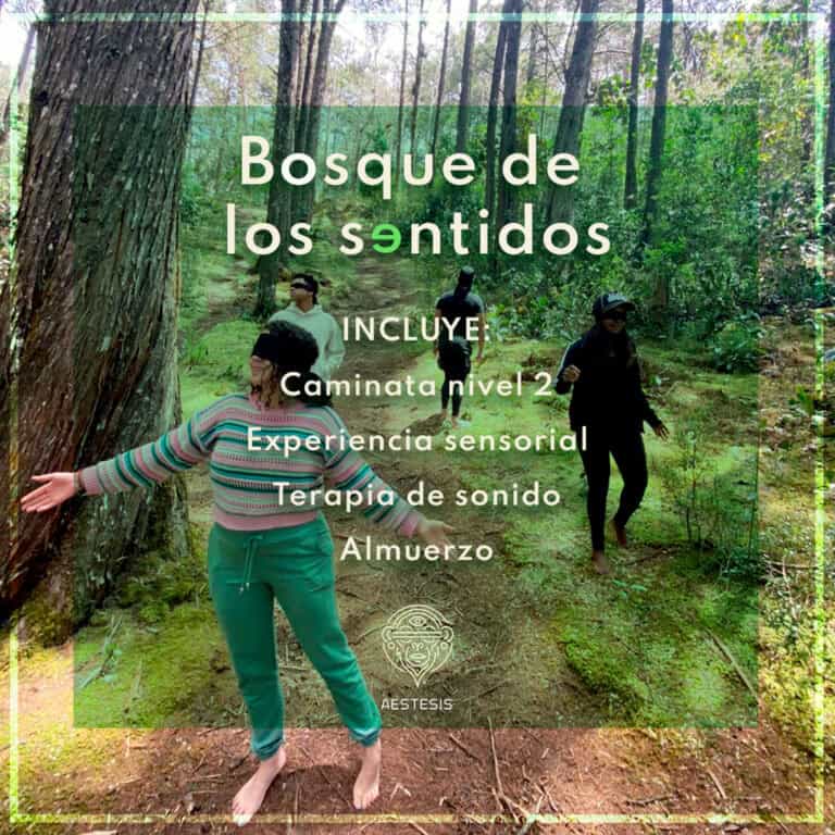 Senderos en el bosque de los sentidos con experiencia sensorial, terapia de sonido y caminatas nivel 2 en perfecta armonía con la naturaleza.