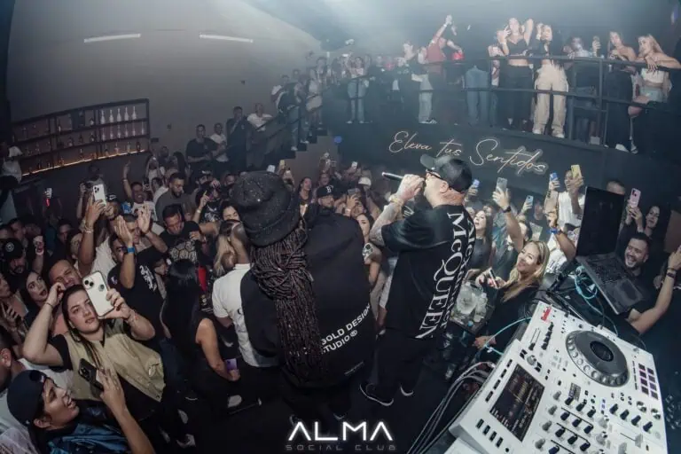 夜总会里，现场有DJ和音乐，气氛热烈，灯光秀精彩纷呈，许多参加者正在享受派对。