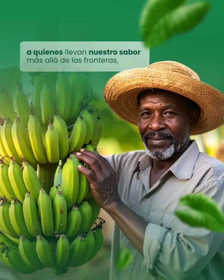 文件名：event-san-agustin-banana-harvest-co2019.jpg。