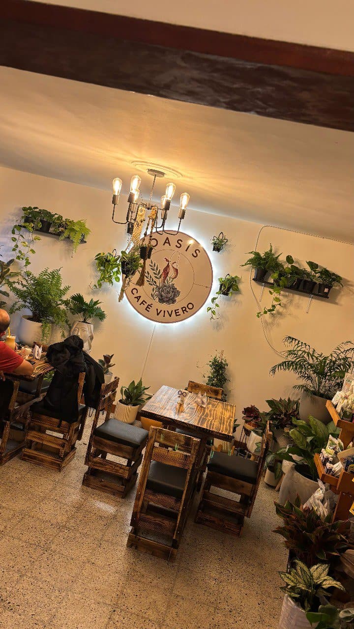 Clásico ambiente de café con plantas, mesa de madera y decoración moderna en Café Vivero, ideal para eventos y reuniones en Bogotá, Colombia.
