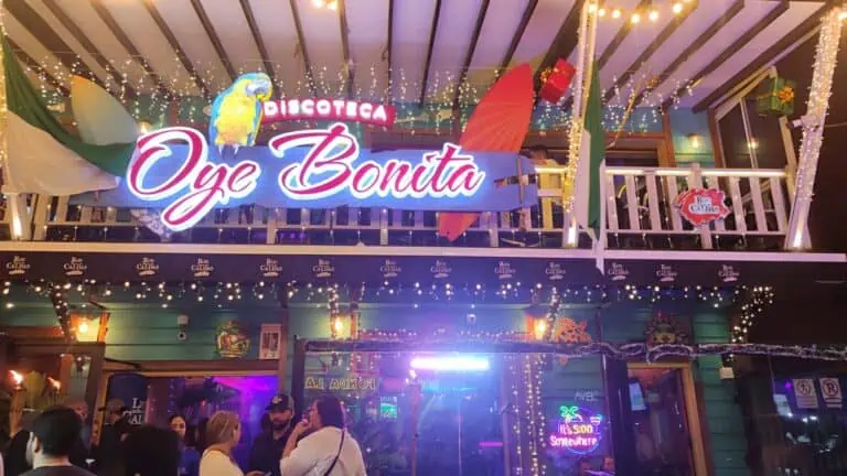 Disco Oye Bonita présente des décorations festives avec des lumières et un thème tropical dans une ambiance nocturne en Colombie.