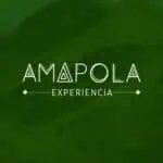 罂粟花体验标志，以自然绿色为背景，代表哥伦比亚的活动和旅游，是该地区农业和文化活动的宣传图片。