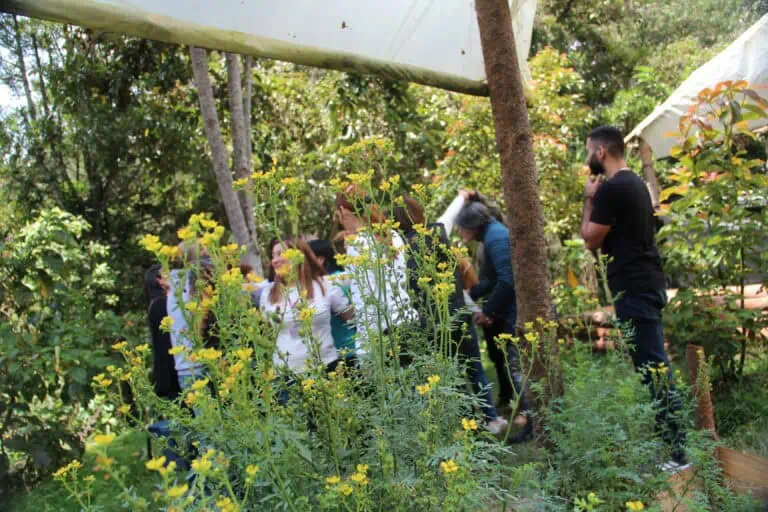 Outdoor events surrounded by nature, with attendees participating in team-building and networking activities in a green and healthy environment.