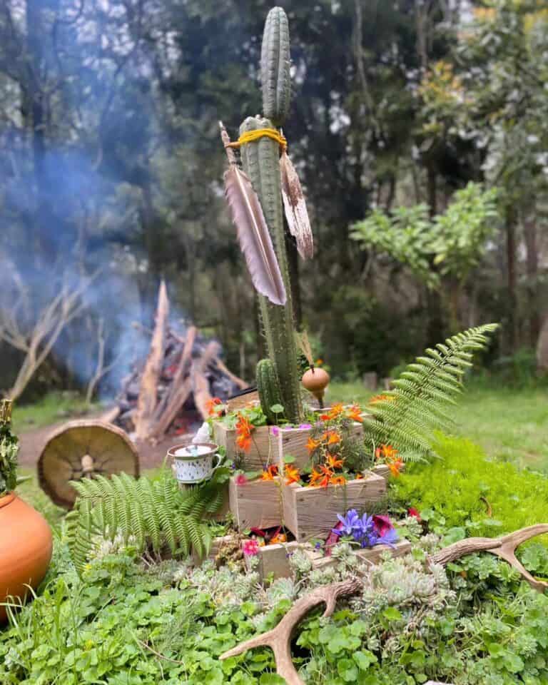 Un altar de jardín con cactus decorativo, flores coloridas y elementos naturales, ideal para eventos y celebraciones en exteriores en Colombia. Diseño ecológico y artístico para eventos al aire libre.