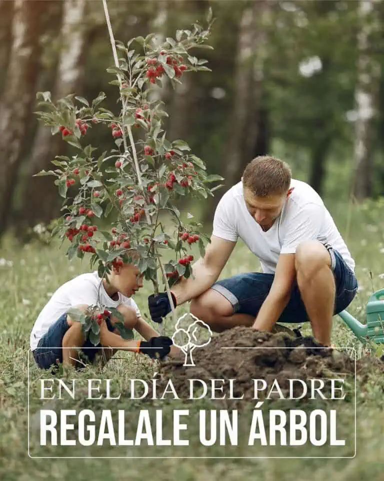 在特殊的日子里，父亲和儿子一起种树，既能弘扬生态价值观，又能增进家庭感情，是庆祝父亲节的理想绿色活动。