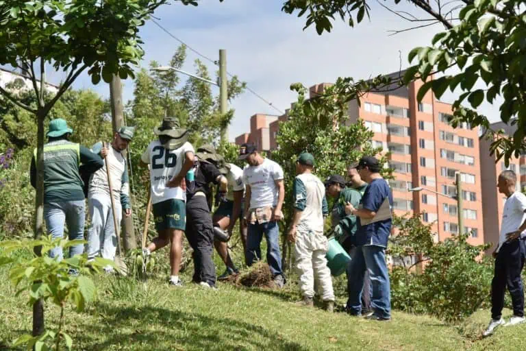 在哥伦比亚波哥大一个阳光明媚的日子里，约 15 人在城市绿地参与植树造林活动，绿地里种满了树木和植物。