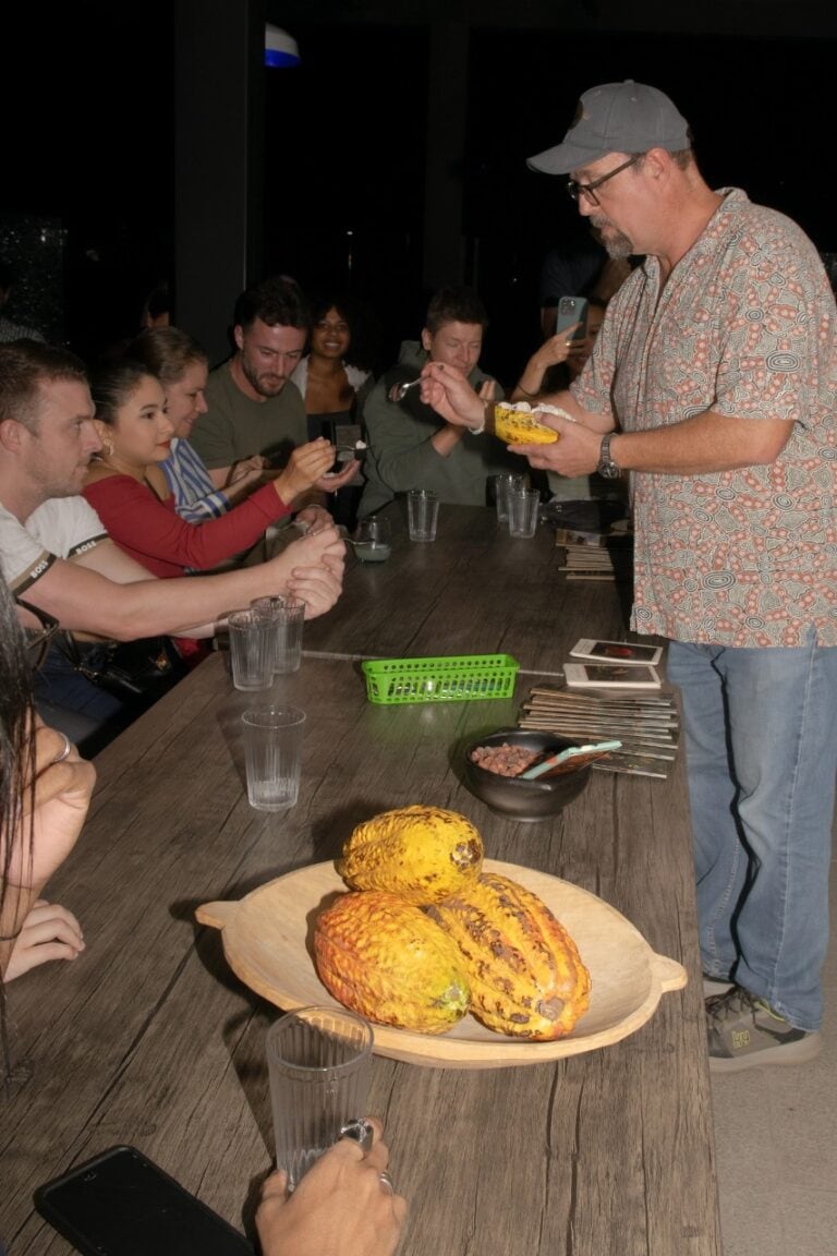 Cosecha de cacao en evento de degustación con público, cacao criollo y producto natural.