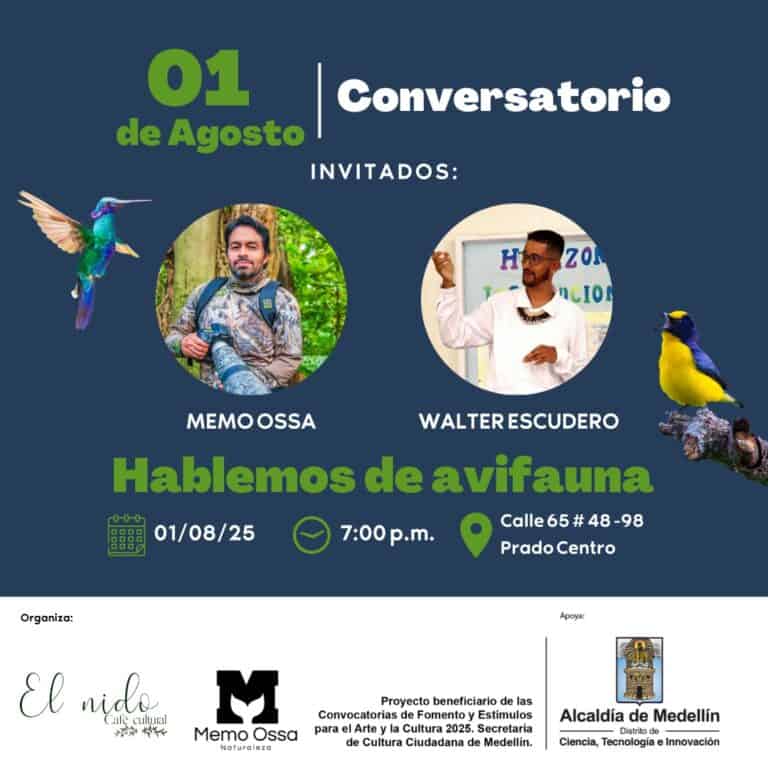 Máscara de ave exótica en un fondo verde, invitación a conversación sobre fauna silvestre.