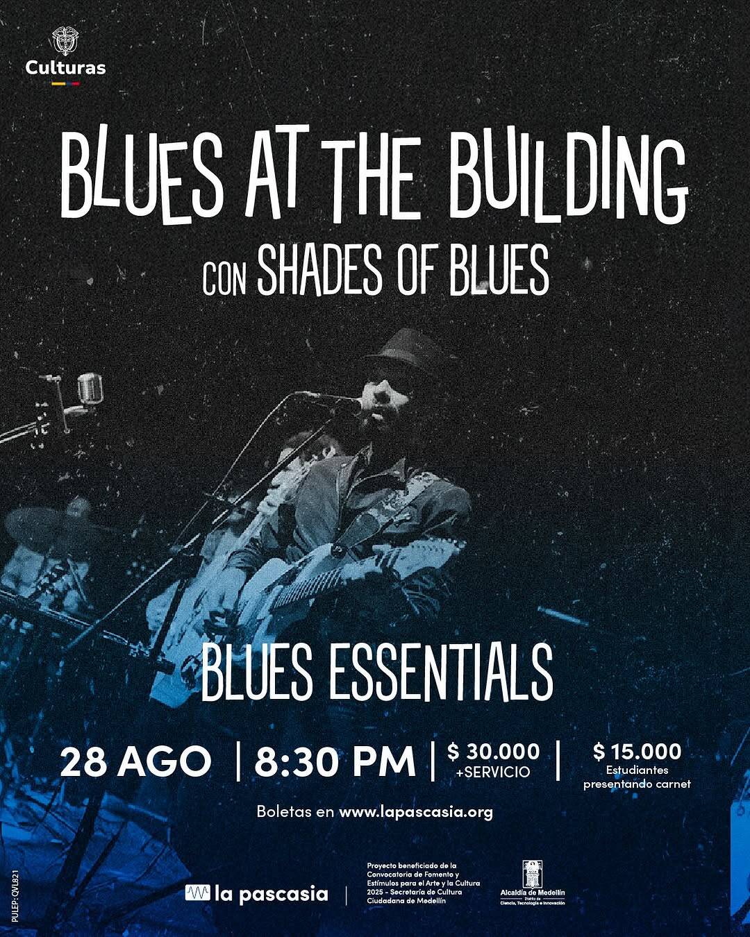 Disfruta de un concierto de blues con sombras de blues en un ambiente oscuro y musical, presentado por La Pascasia en Medellín, con artistas en vivo y venta de boletas en línea.