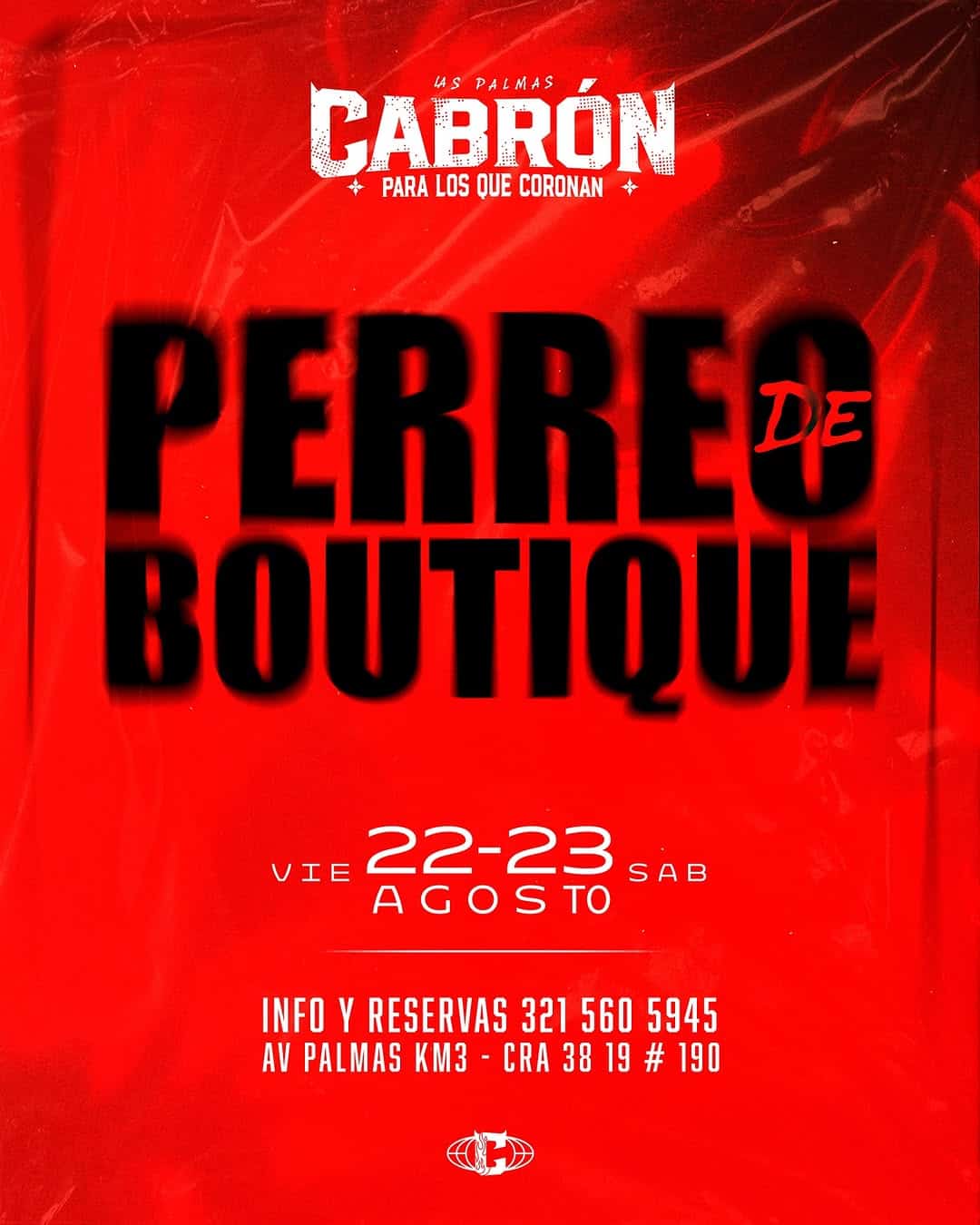 Perro de Boutique evento en Las Palmas los días 22 y 23 de agosto con reserva y contacto para información.