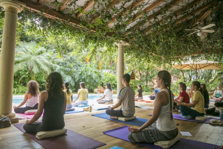 Yoga al aire libre en un entorno natural con muchas plantas verdes y sombra, personas practicando meditación en clase de yoga grupal, estilo relajado y tranquilo.