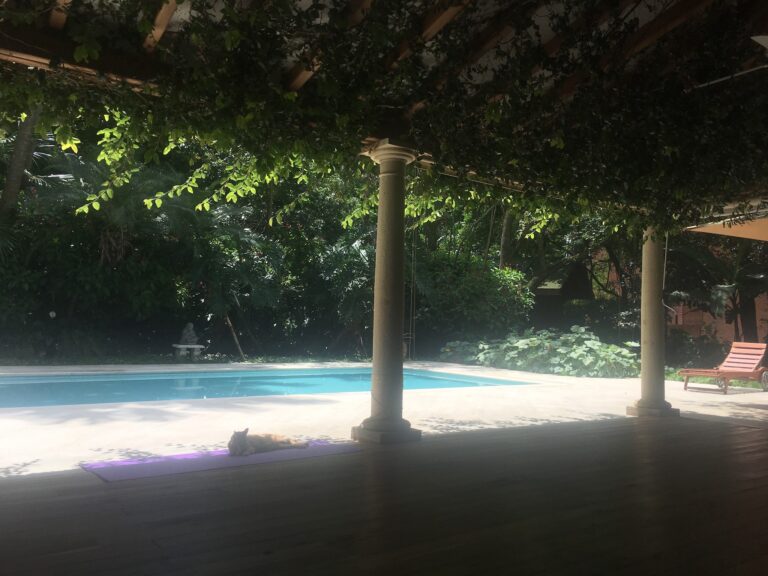 Relajante escena en piscina con sombra de árboles, ideal para eventos y reuniones al aire libre, en un entorno natural y tranquilo.