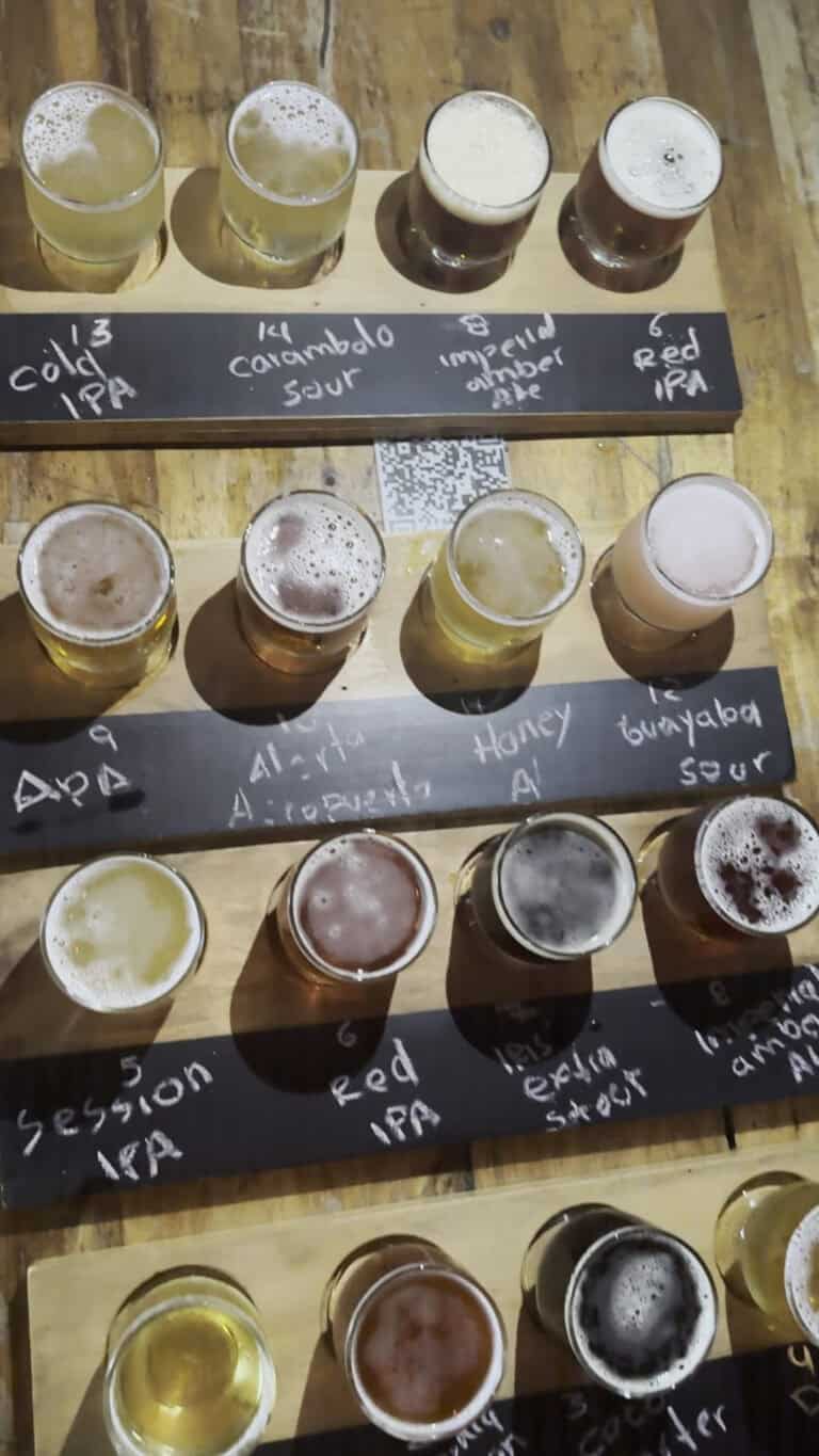Bipolar Brewing Co 2