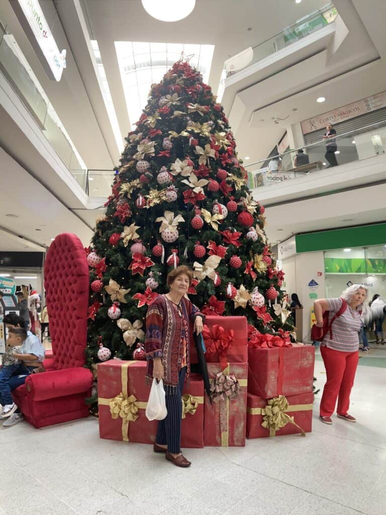 Centro Comercial El Punto De La Oriental 4