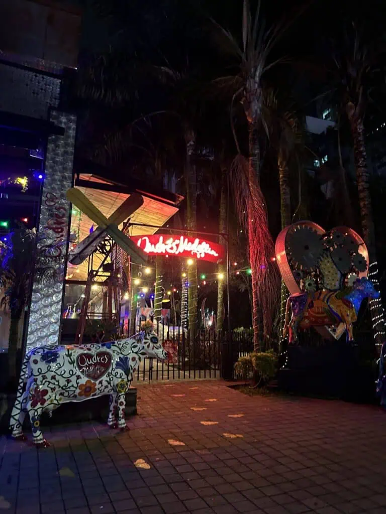 游乐园里色彩缤纷的夜晚，霓虹灯闪烁，棕榈树摇曳，还有骏马和爱心的装饰物，是哥伦比亚举办传统活动和派对的理想场所。