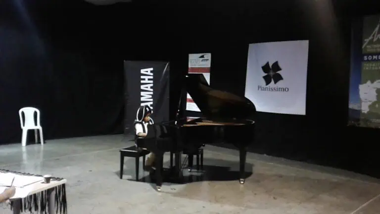 Titre d'événement musical mettant en scène un enfant jouant du piano sur une scène sombre avec des bannières Yamaha et Pianissimo, idéal pour promouvoir des événements culturels et musicaux en Colombie.