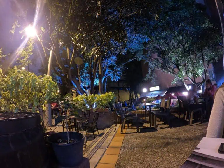 Profitez d'une soirée dans un espace en plein air avec un éclairage d'ambiance, entouré d'arbres et de plantes, idéal pour des événements et des rassemblements sociaux avec une atmosphère chaleureuse et moderne.