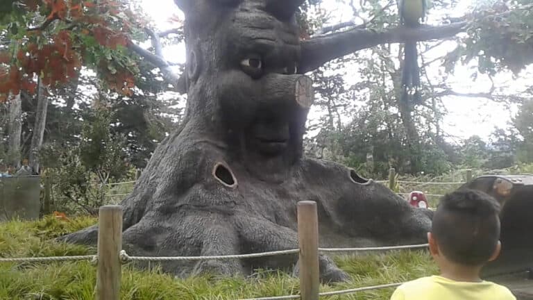 Comfama Parque Arvi 2