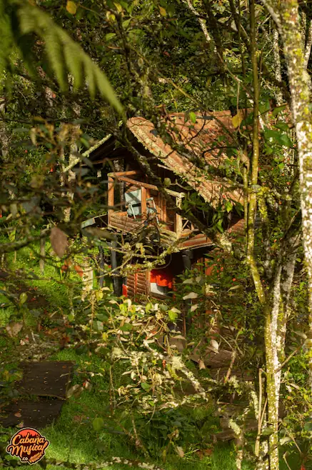 Ein kleiner, rustikaler Baum, geschmückt mit einer Hütte, eingebettet in die Natur, perfekt für Veranstaltungen im Freien in Kolumbien.