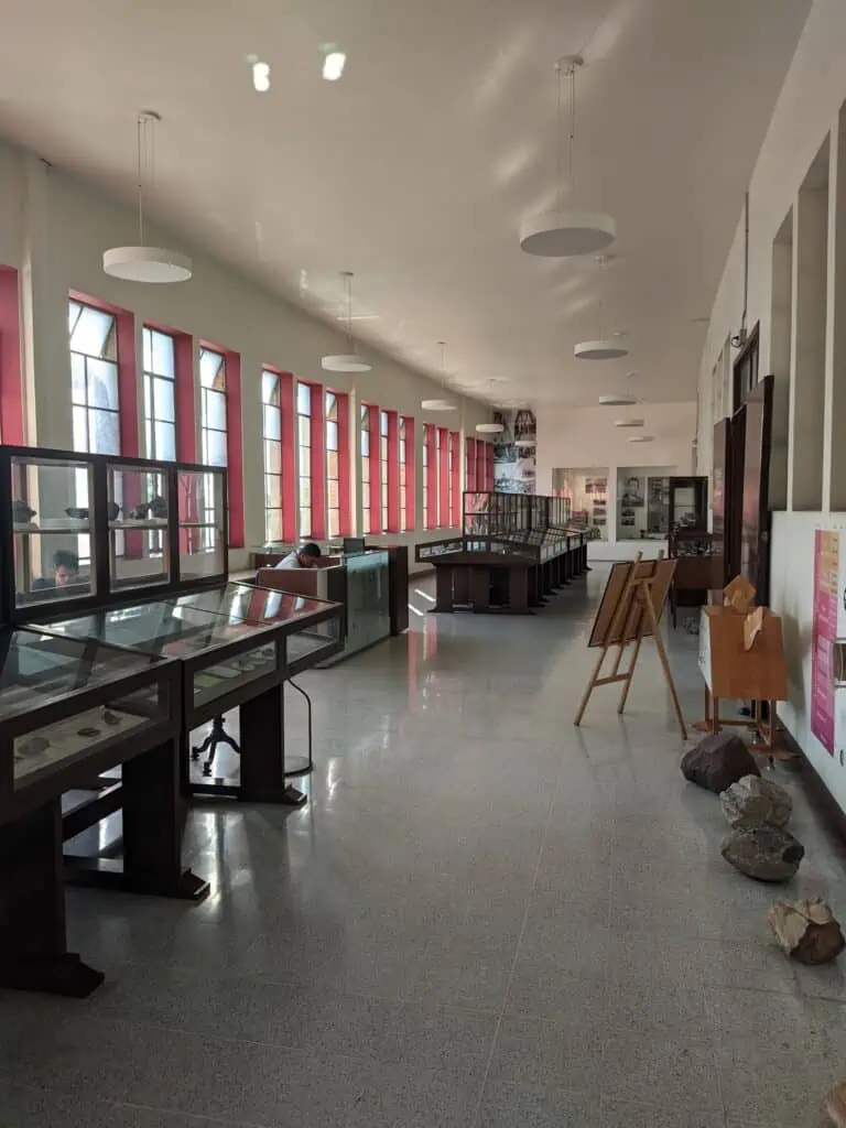 Vitrines avec objets à l'intérieur d'un musée, éclairées par la lumière naturelle, spacieuses avec de grandes fenêtres, idéales pour les événements culturels, les expositions et les visites éducatives.