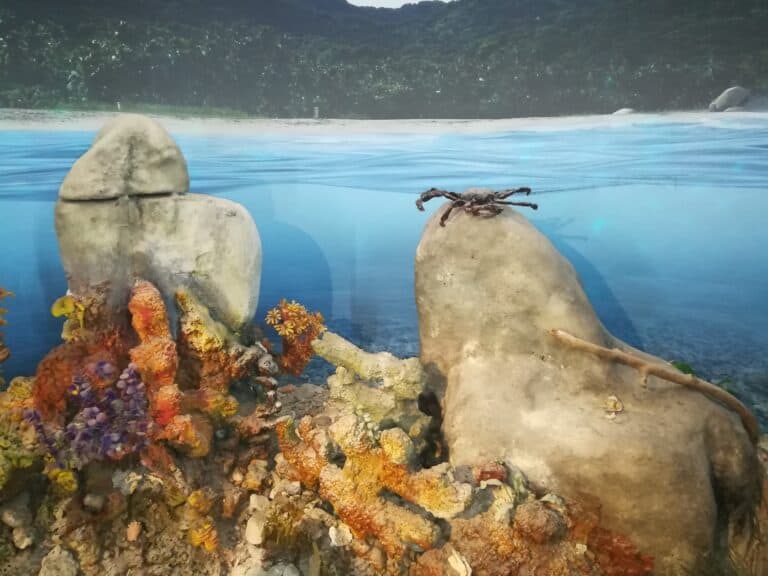 Museo Del Agua Epm 4