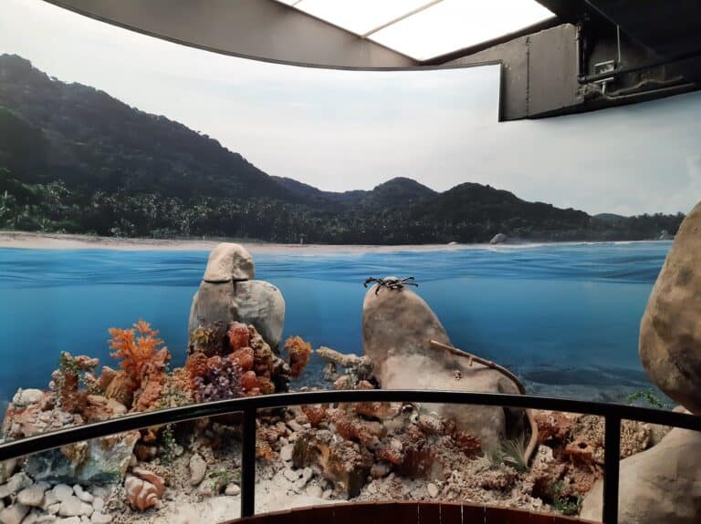 Museo Del Agua Epm 5