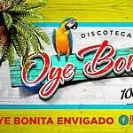 Oye Bonita Discoteca 热带风情招牌，棕榈树和鹦鹉，为麦德林的活动和派对营造节日氛围。
