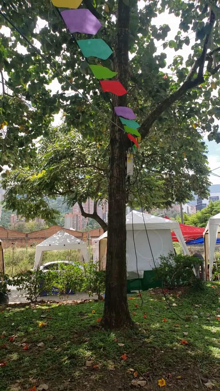 Parque Lineal Ciudad Del Rio 2