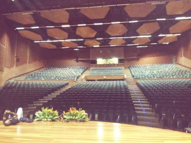 宽敞的礼堂，座位安排合理，适合举办活动和会议；墙壁和天花板采用木质材料，设计现代，是哥伦比亚举办公司活动和培训的理想场所。