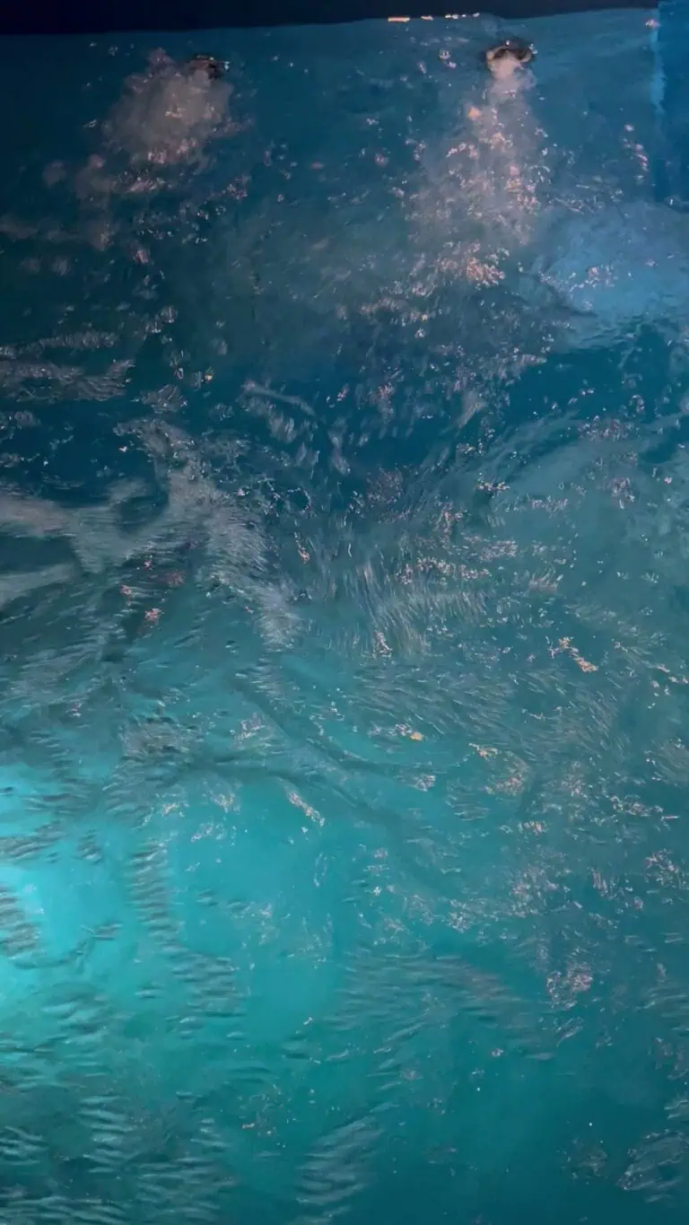Badende in einem Whirlpool genießen einen Moment der Entspannung und des Wohlbefindens in einer Wasser-Spa-Umgebung.